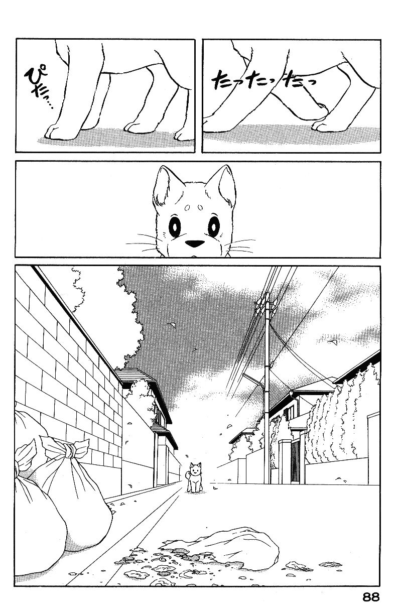 柴王韩漫全集-VOL04无删减无遮挡章节图片 