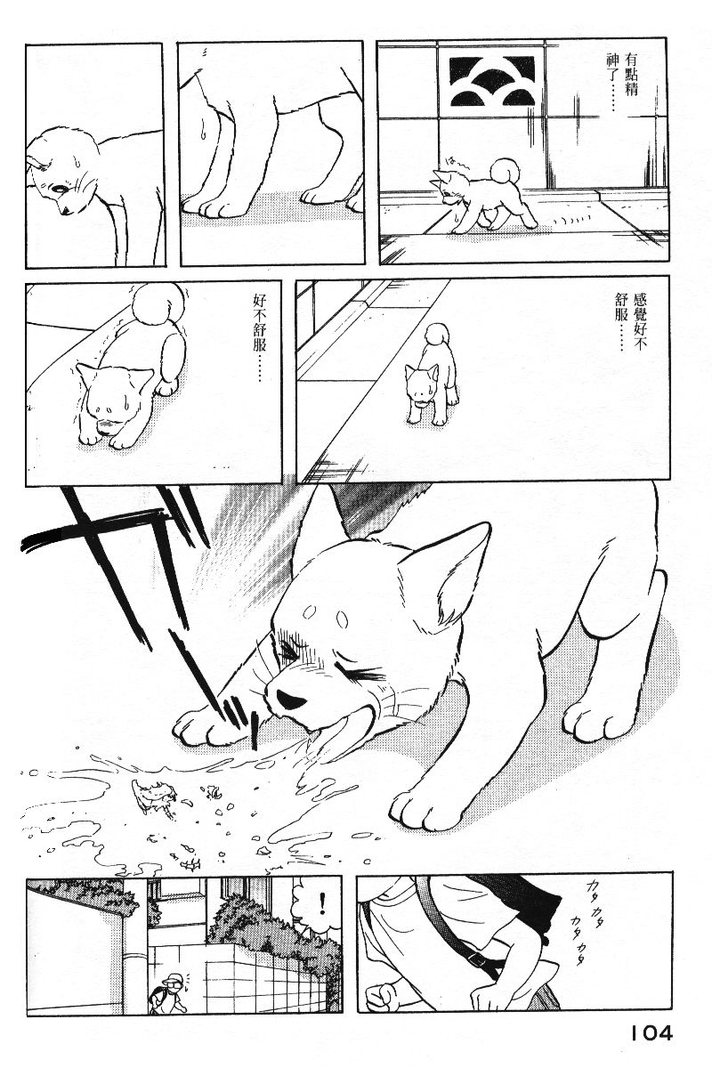 柴王韩漫全集-VOL05无删减无遮挡章节图片 