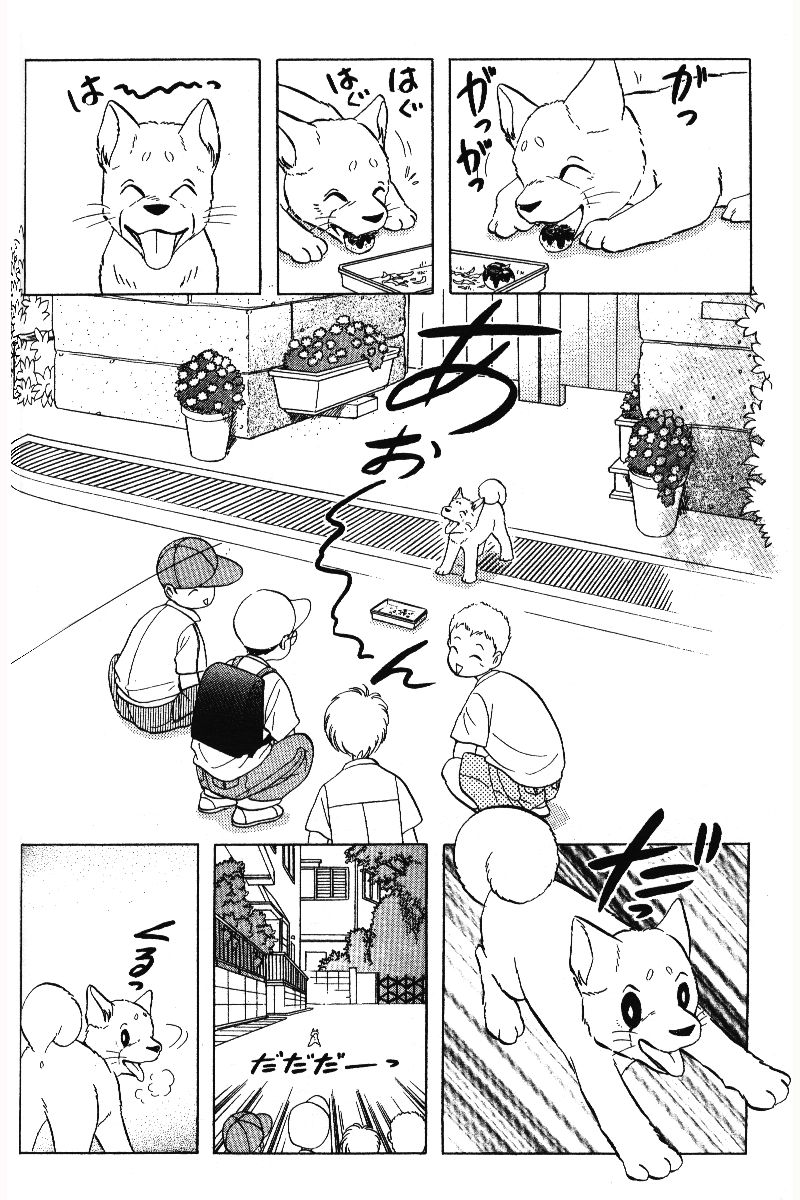 柴王韩漫全集-VOL05无删减无遮挡章节图片 