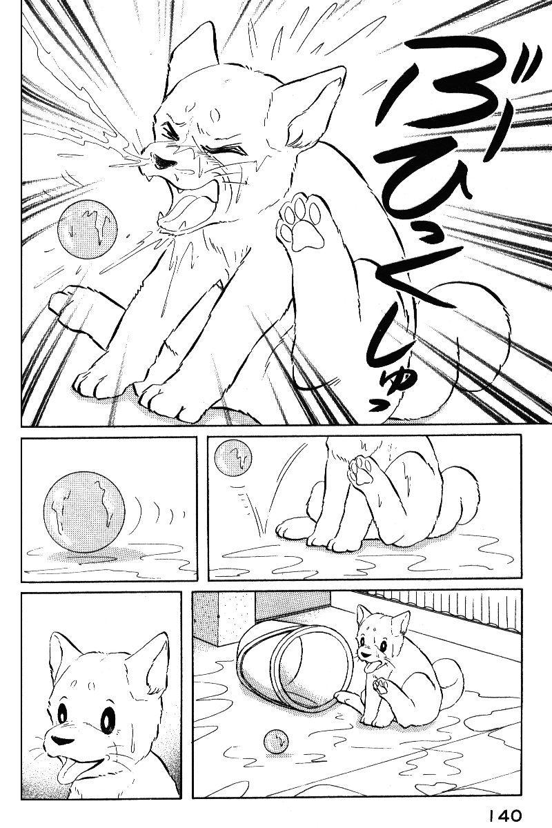 柴王韩漫全集-VOL05无删减无遮挡章节图片 