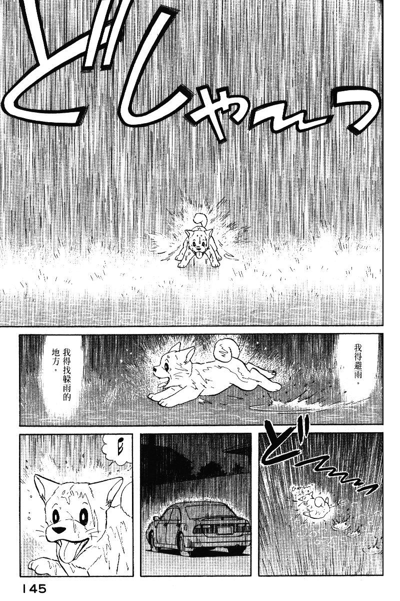 柴王韩漫全集-VOL05无删减无遮挡章节图片 