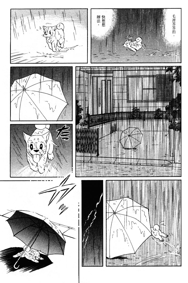 柴王韩漫全集-VOL05无删减无遮挡章节图片 