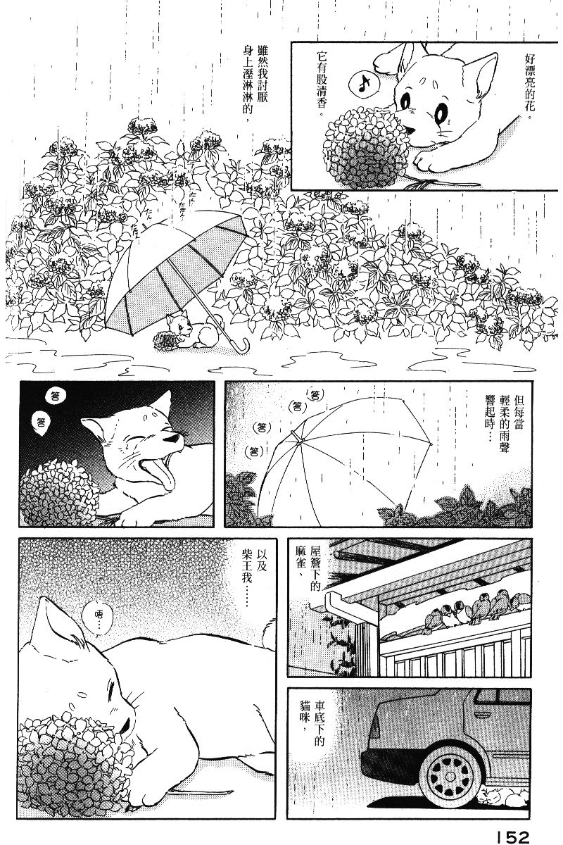 柴王韩漫全集-VOL05无删减无遮挡章节图片 