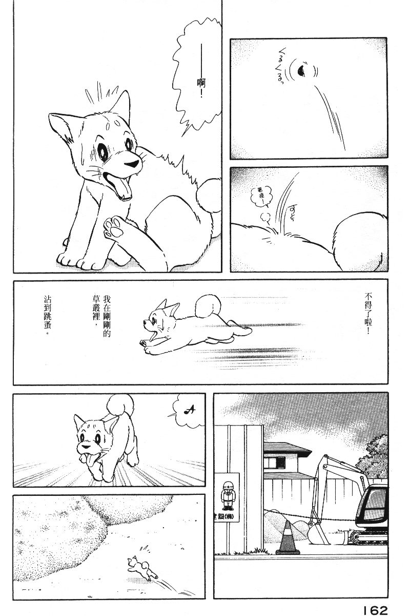 柴王韩漫全集-VOL05无删减无遮挡章节图片 