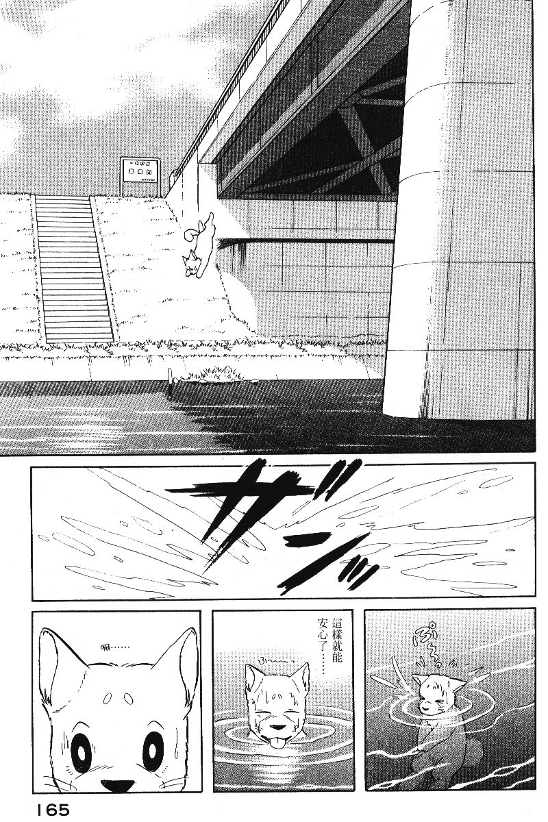 柴王韩漫全集-VOL05无删减无遮挡章节图片 