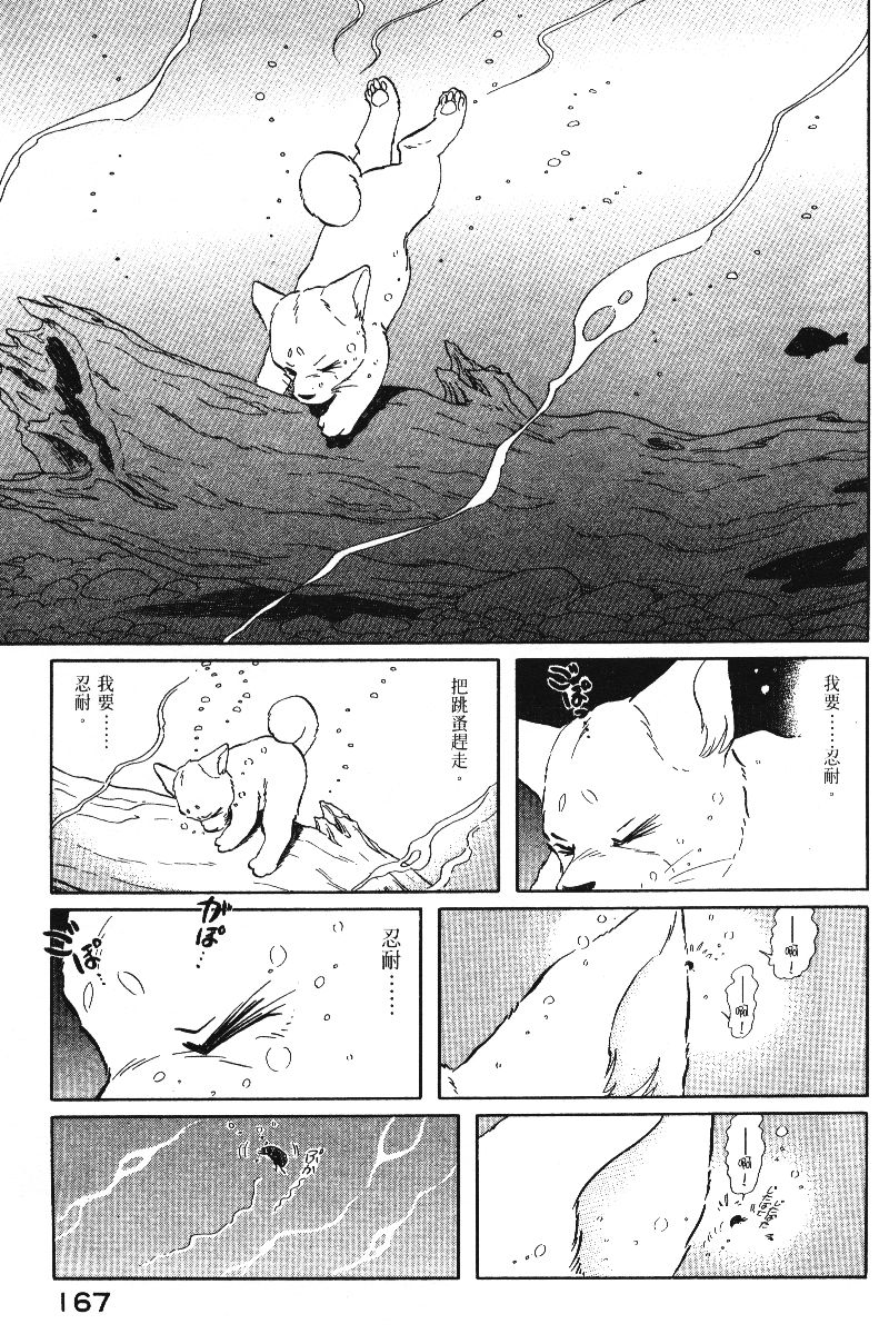 柴王韩漫全集-VOL05无删减无遮挡章节图片 