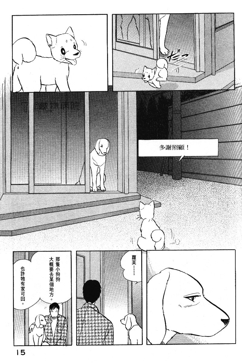 柴王韩漫全集-VOL05无删减无遮挡章节图片 