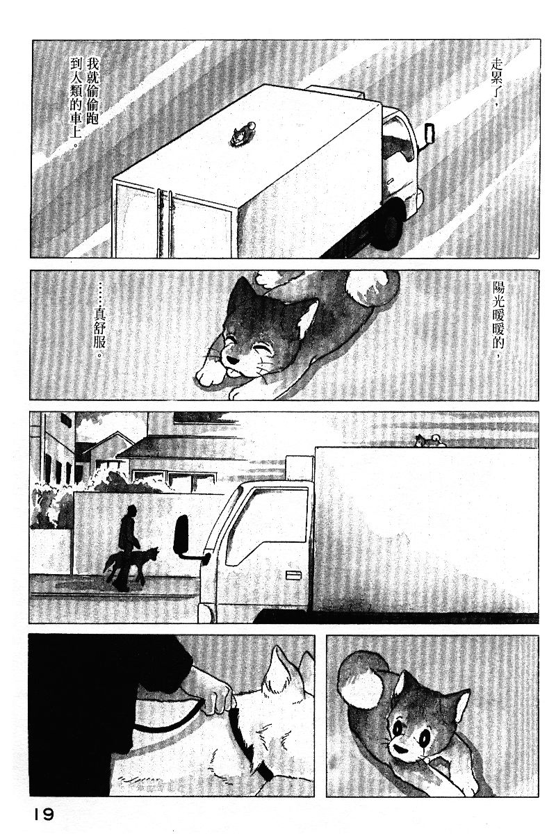 柴王韩漫全集-VOL05无删减无遮挡章节图片 