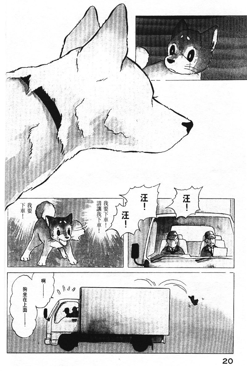 柴王韩漫全集-VOL05无删减无遮挡章节图片 