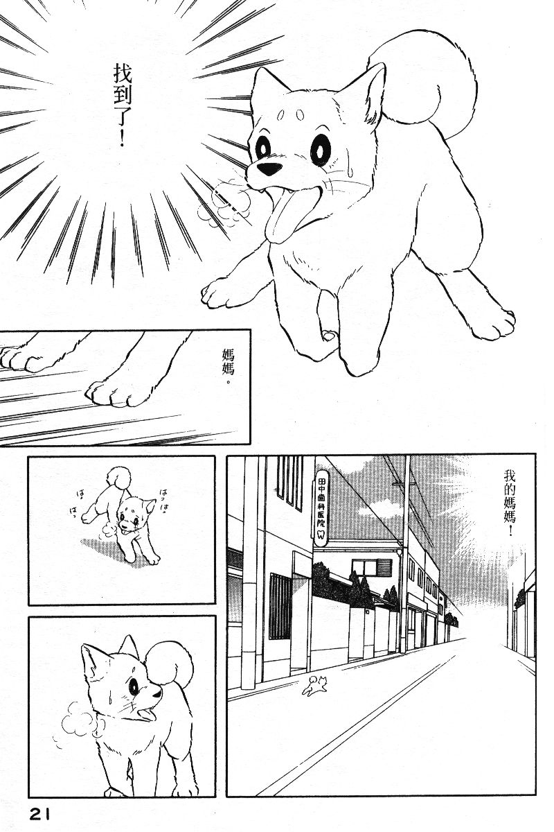柴王韩漫全集-VOL05无删减无遮挡章节图片 
