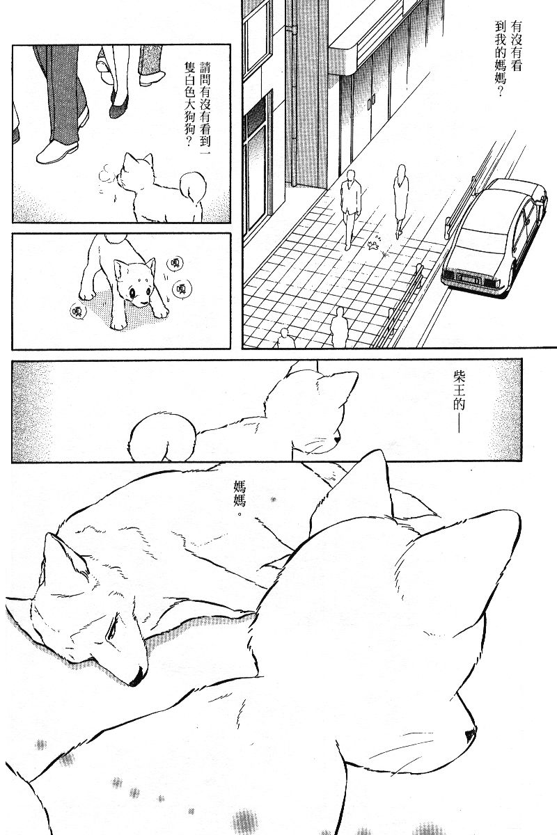 柴王韩漫全集-VOL05无删减无遮挡章节图片 