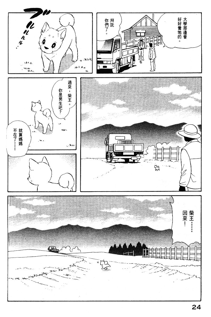柴王韩漫全集-VOL05无删减无遮挡章节图片 