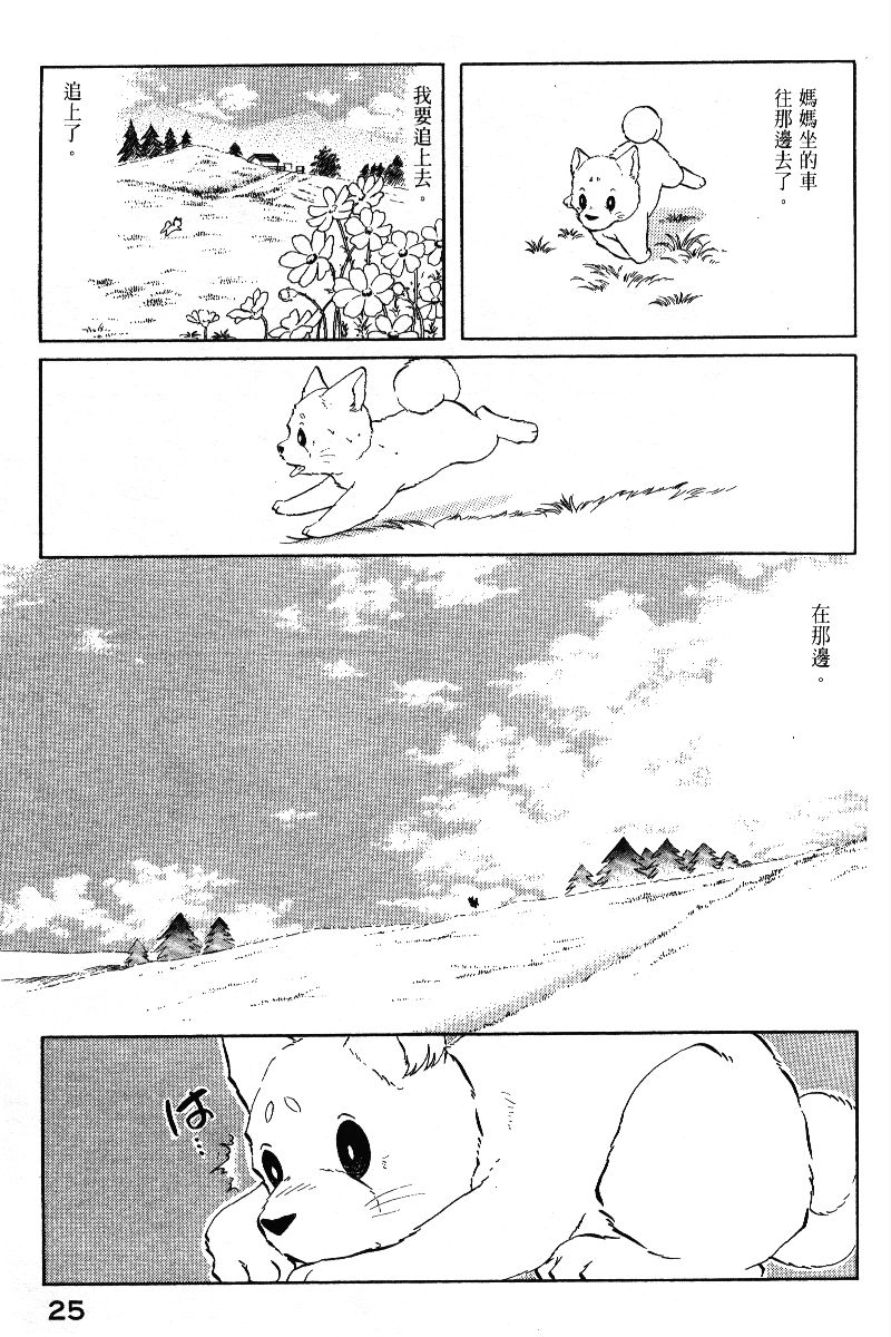 柴王韩漫全集-VOL05无删减无遮挡章节图片 