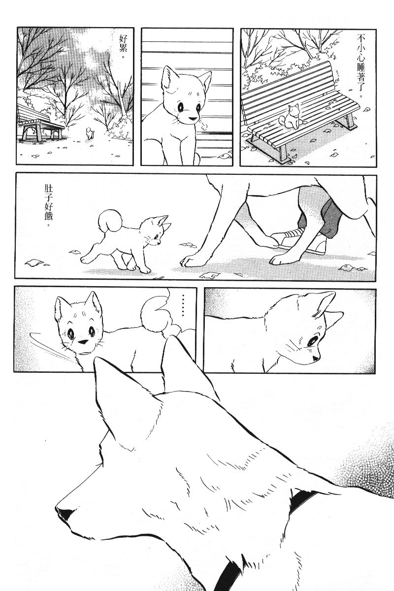 柴王韩漫全集-VOL05无删减无遮挡章节图片 