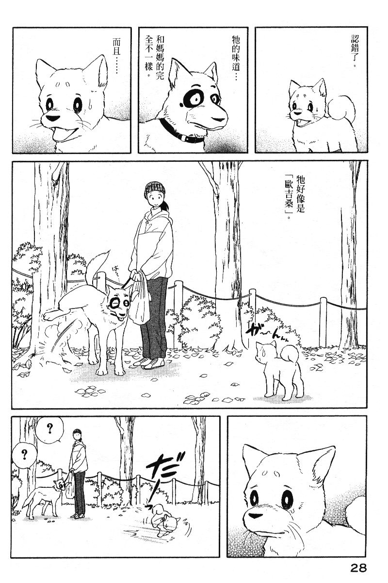 柴王韩漫全集-VOL05无删减无遮挡章节图片 