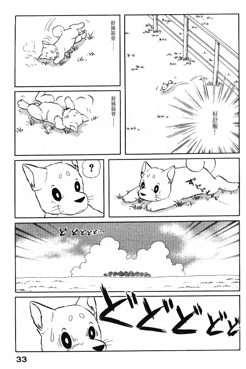 柴王韩漫全集-VOL05无删减无遮挡章节图片 