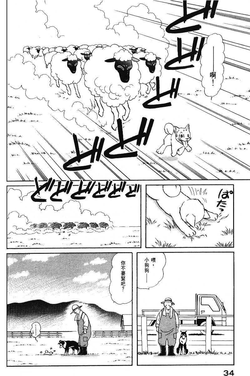 柴王韩漫全集-VOL05无删减无遮挡章节图片 