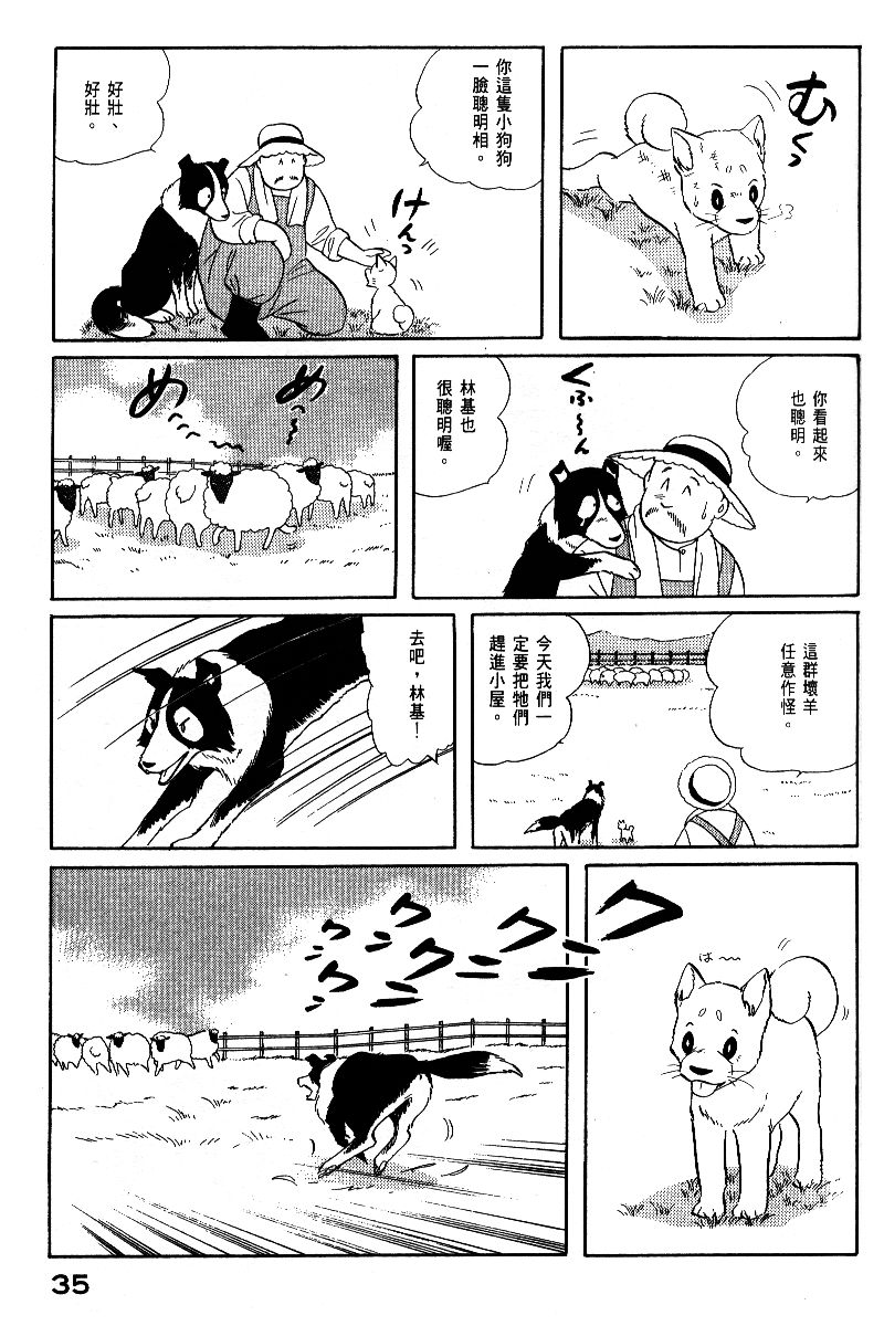 柴王韩漫全集-VOL05无删减无遮挡章节图片 