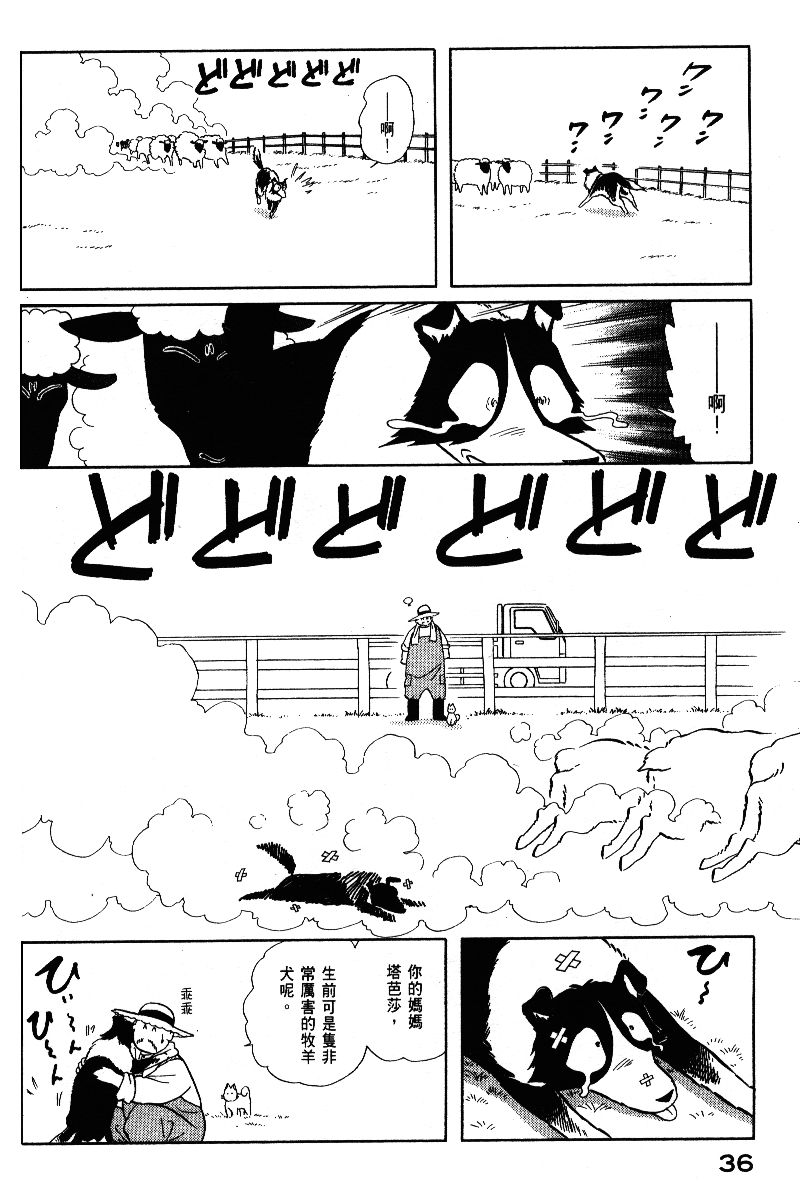 柴王韩漫全集-VOL05无删减无遮挡章节图片 