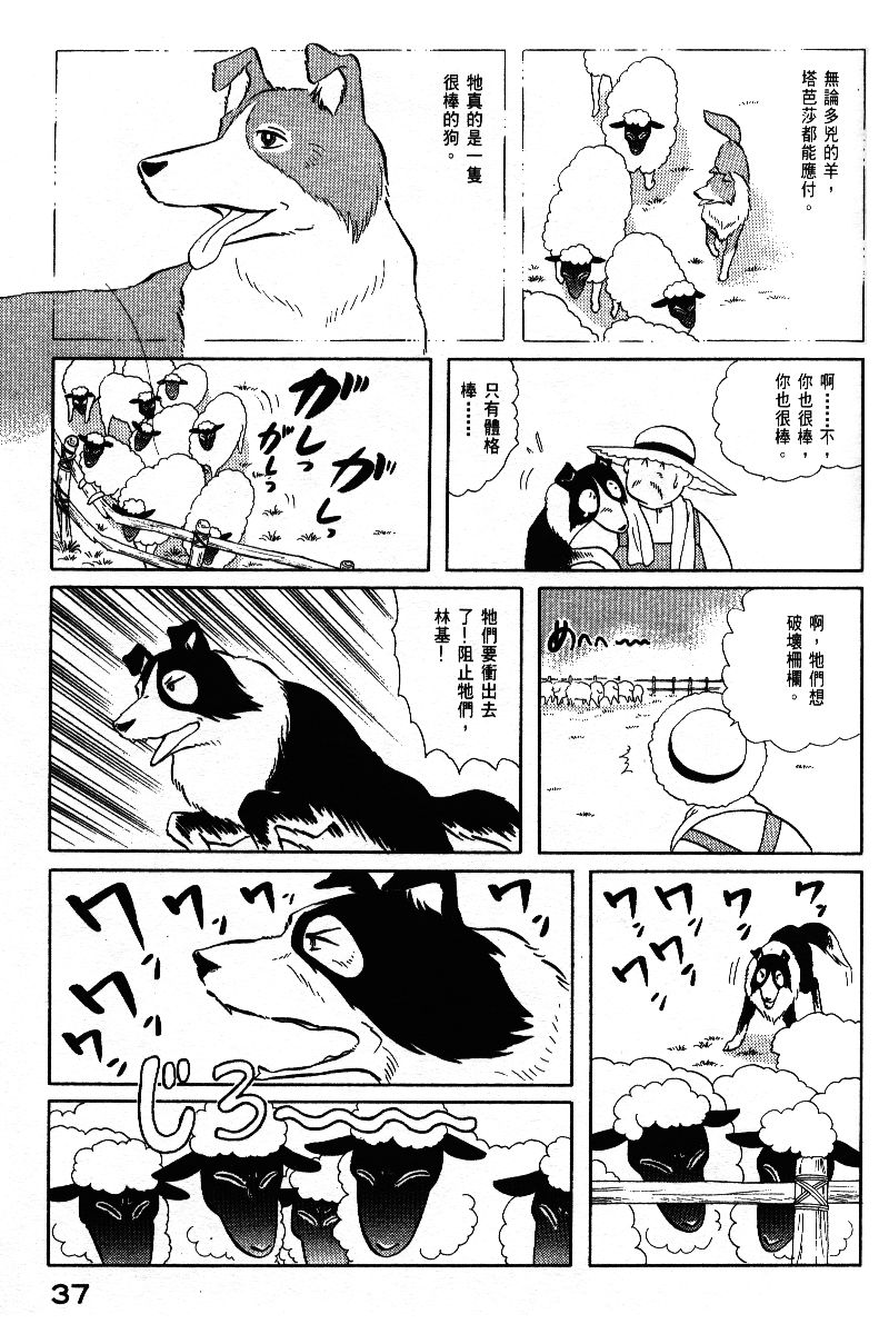 柴王韩漫全集-VOL05无删减无遮挡章节图片 