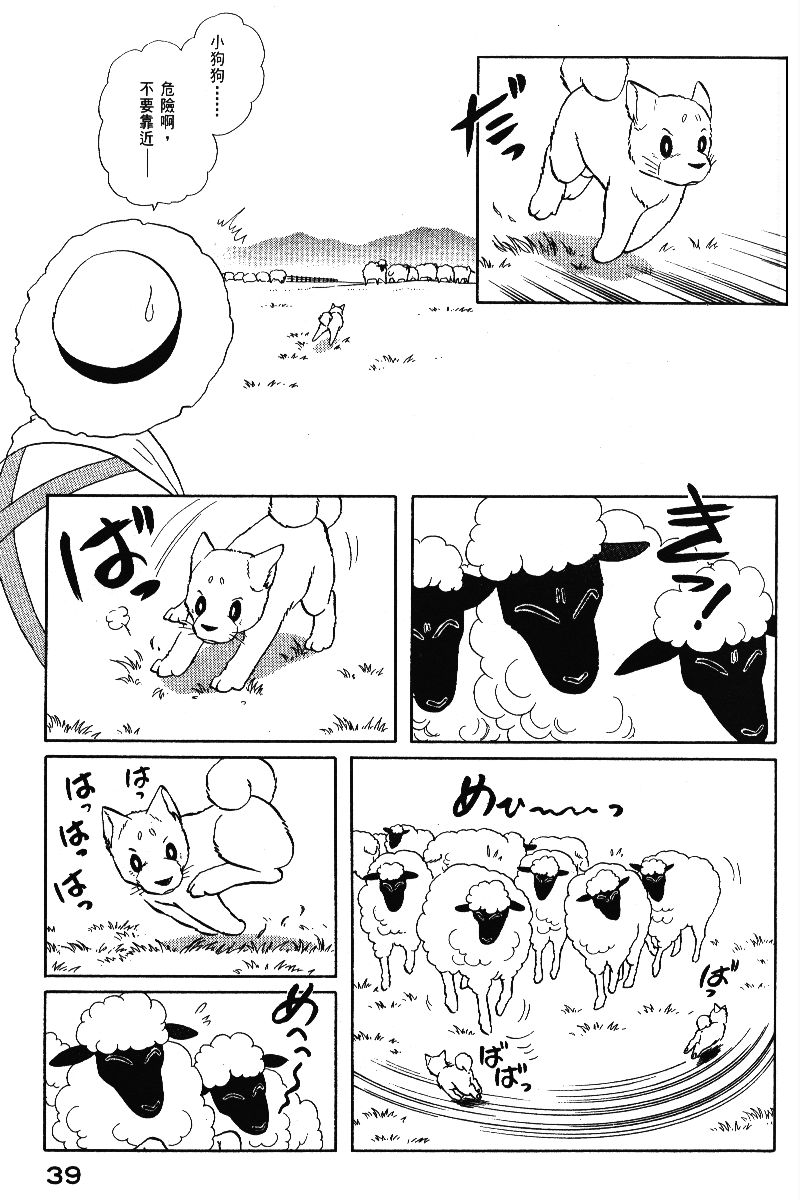 柴王韩漫全集-VOL05无删减无遮挡章节图片 