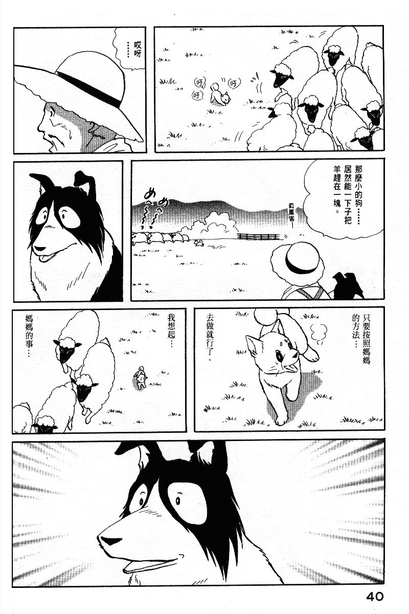 柴王韩漫全集-VOL05无删减无遮挡章节图片 