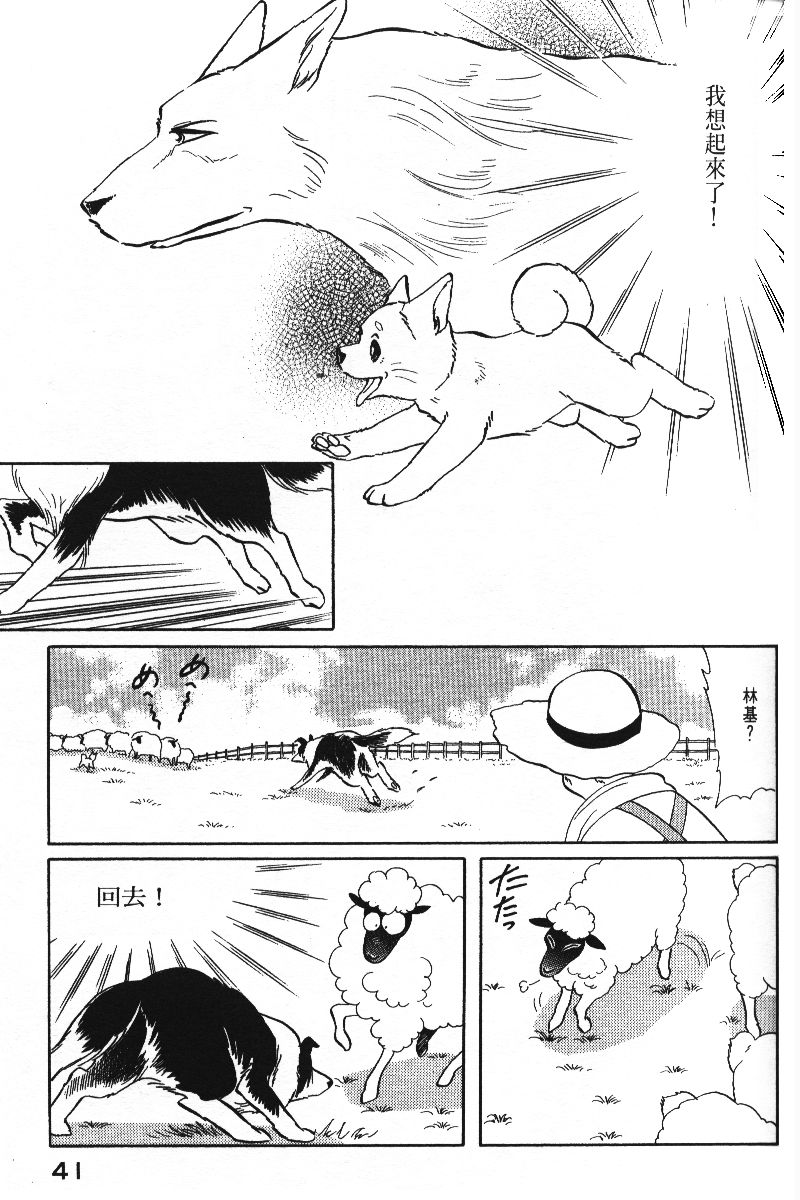 柴王韩漫全集-VOL05无删减无遮挡章节图片 