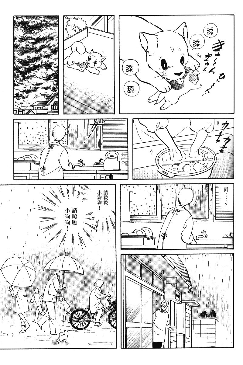 柴王韩漫全集-VOL05无删减无遮挡章节图片 