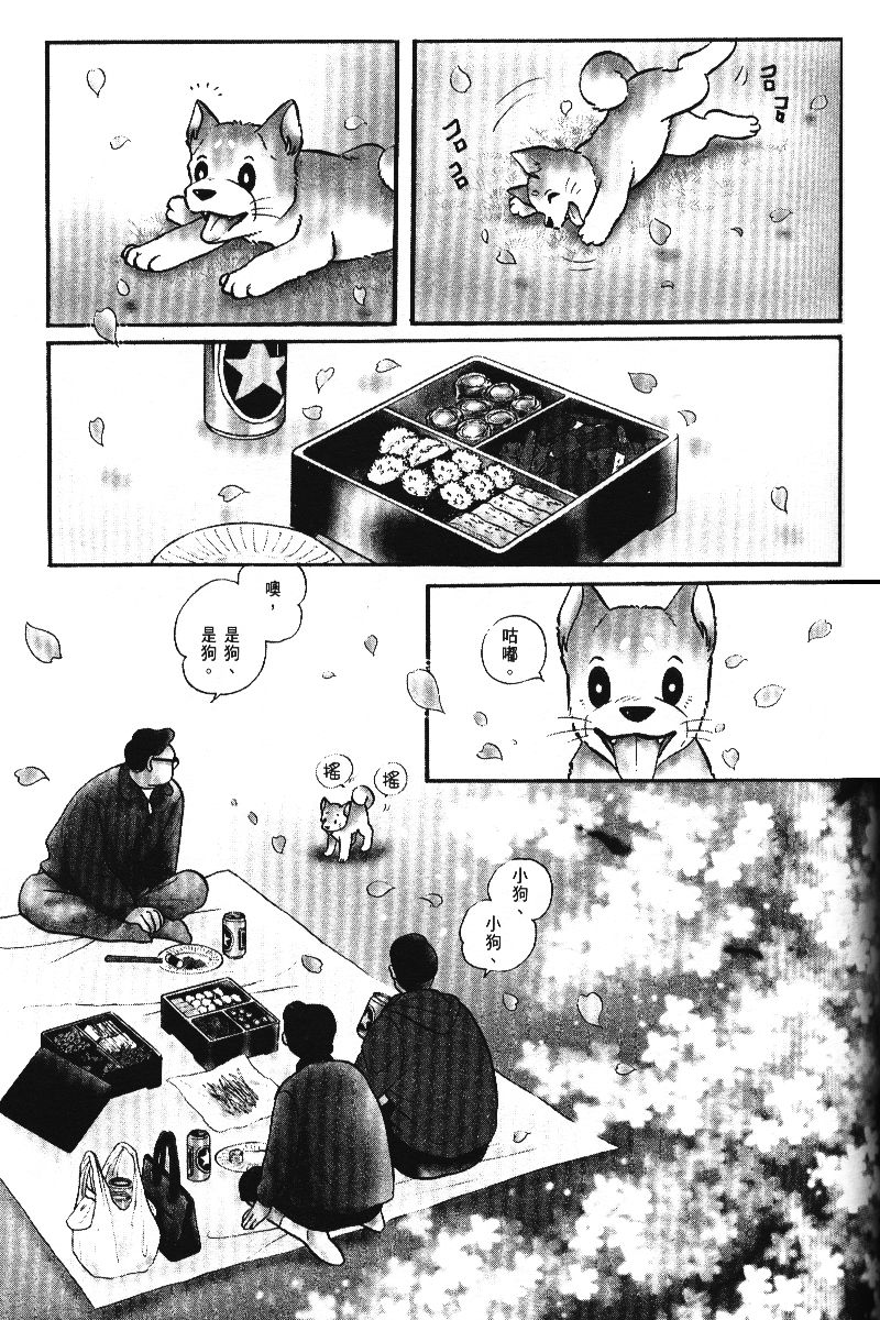 柴王韩漫全集-VOL05无删减无遮挡章节图片 