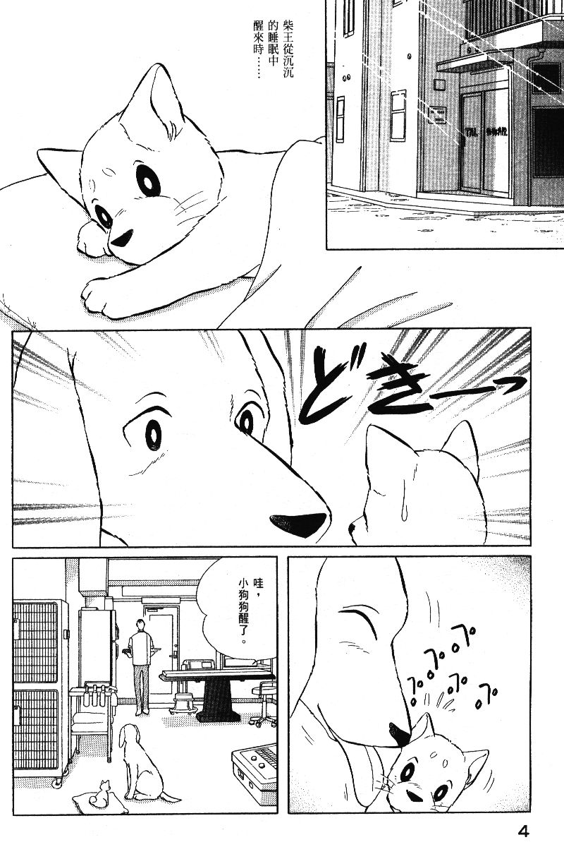 柴王韩漫全集-VOL05无删减无遮挡章节图片 
