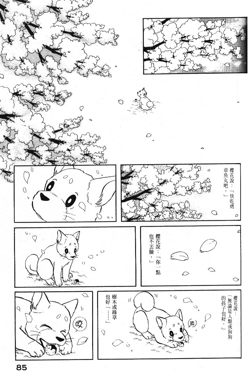 柴王韩漫全集-VOL05无删减无遮挡章节图片 