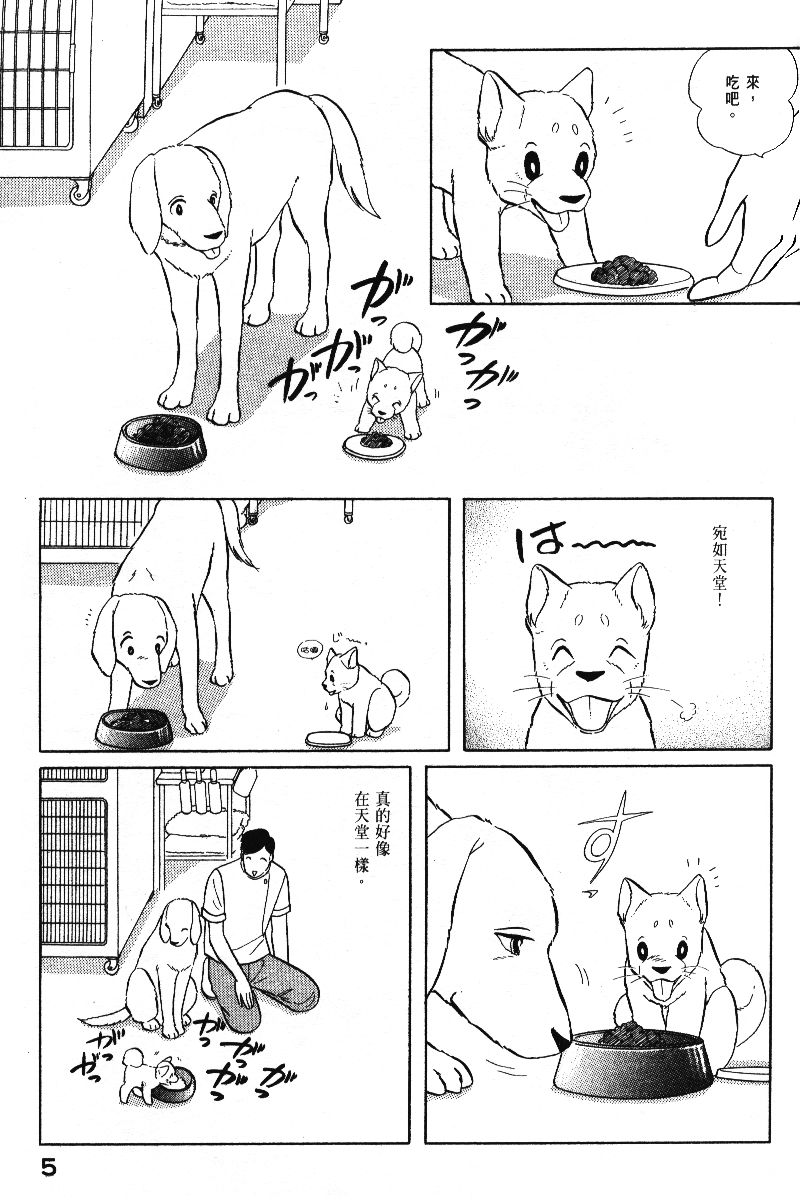柴王韩漫全集-VOL05无删减无遮挡章节图片 