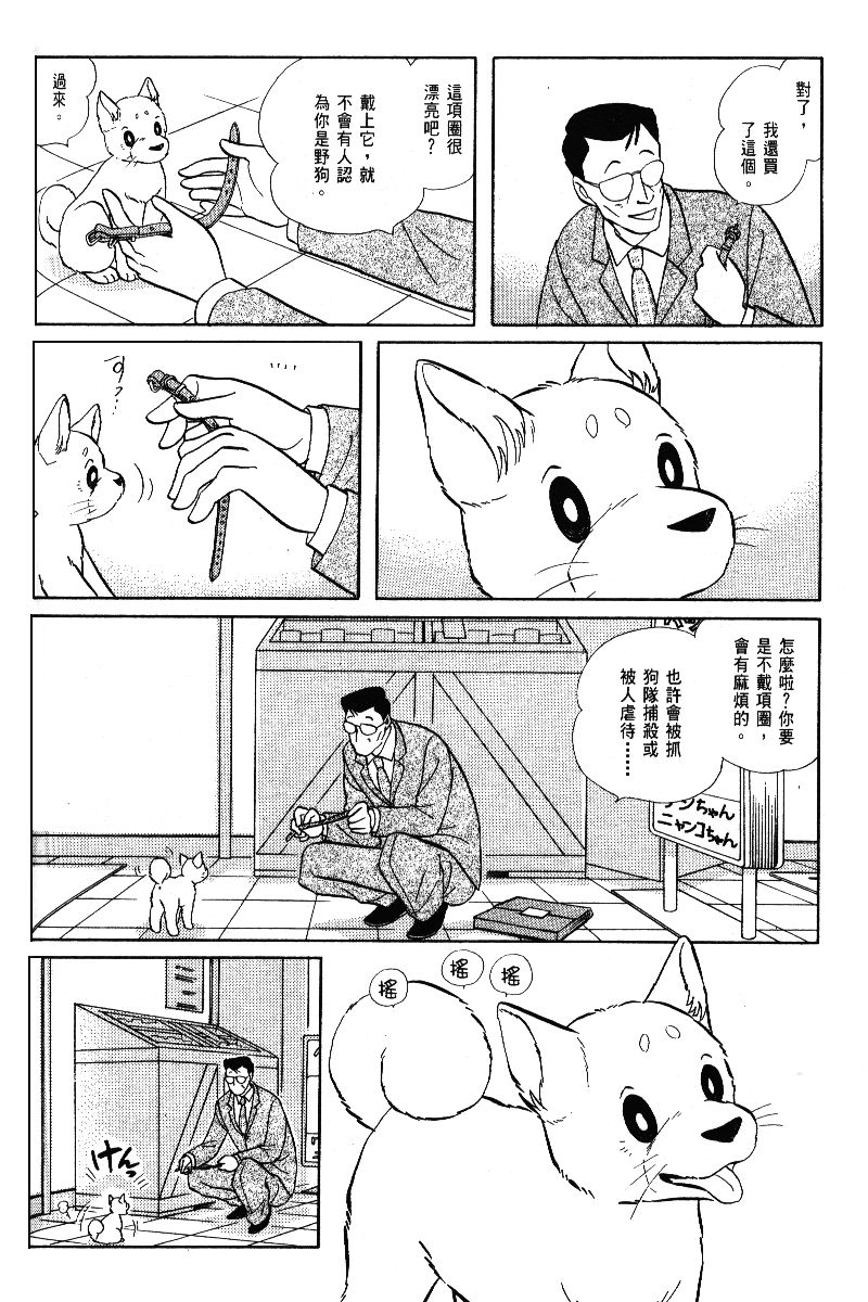 柴王韩漫全集-VOL05无删减无遮挡章节图片 