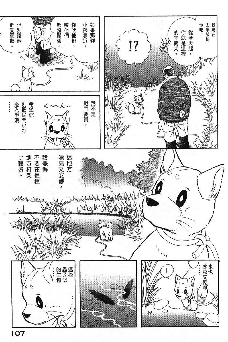 柴王韩漫全集-VOL06无删减无遮挡章节图片 
