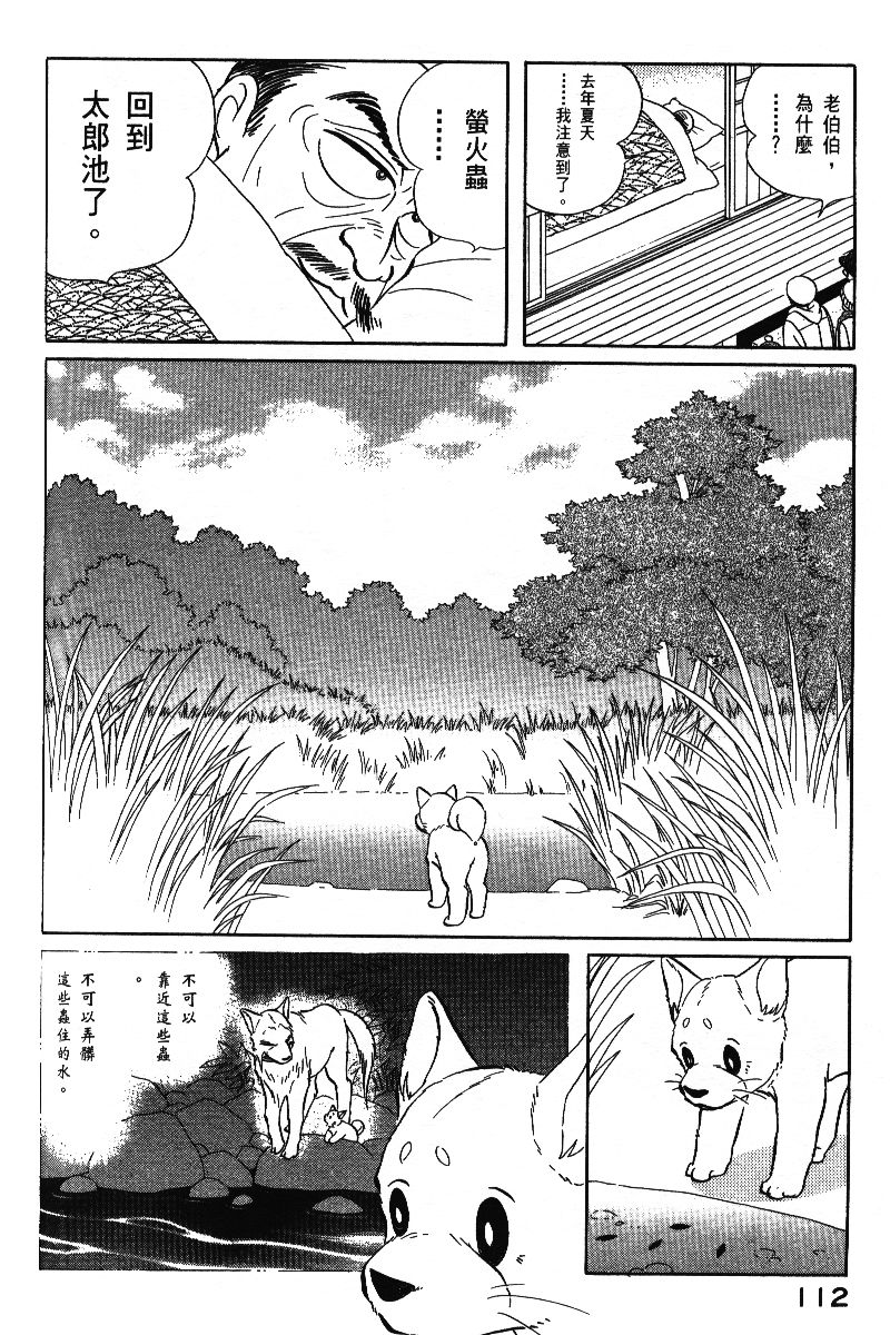 柴王韩漫全集-VOL06无删减无遮挡章节图片 