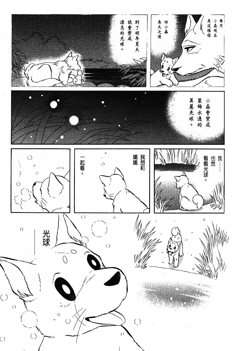 柴王韩漫全集-VOL06无删减无遮挡章节图片 