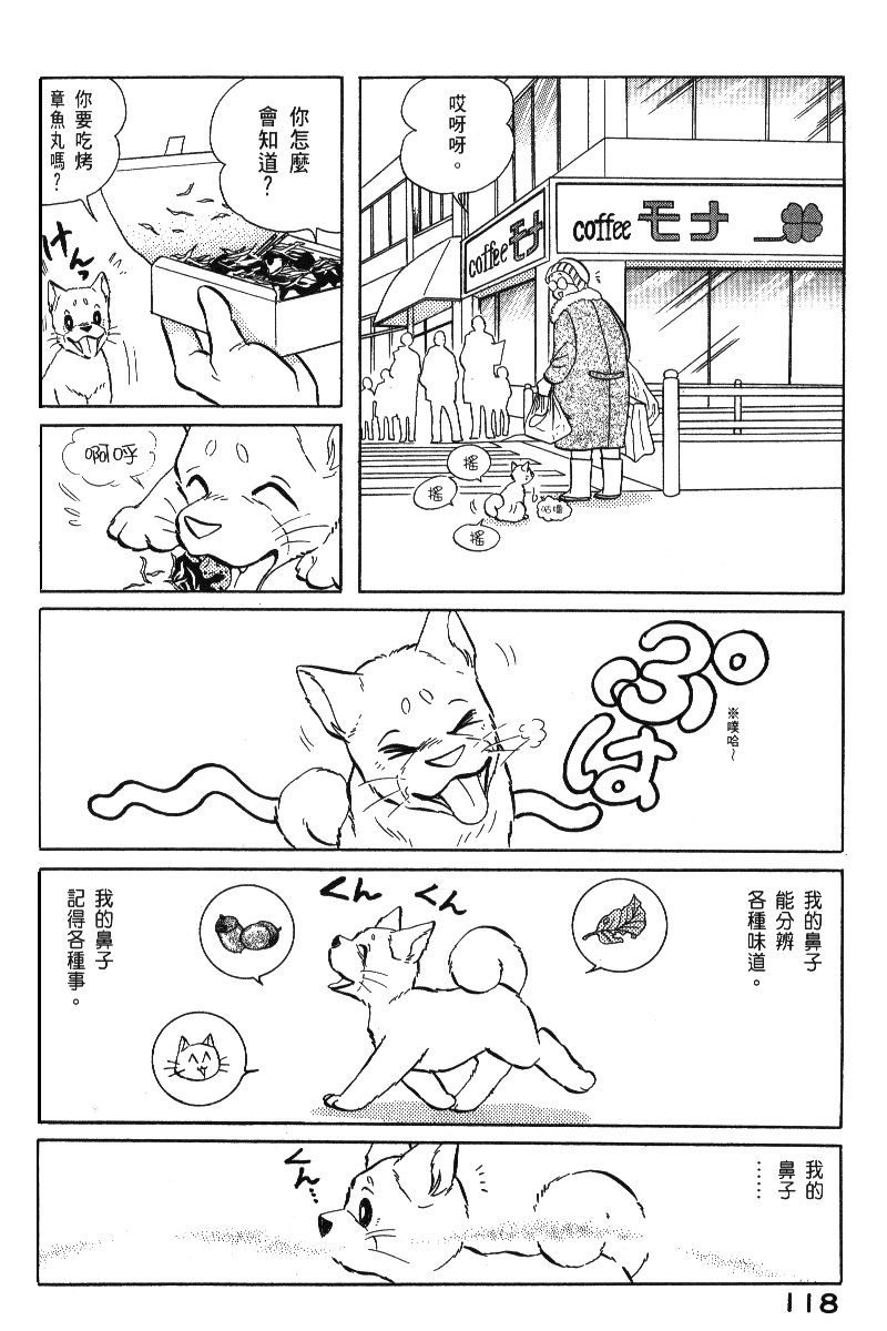 柴王韩漫全集-VOL06无删减无遮挡章节图片 