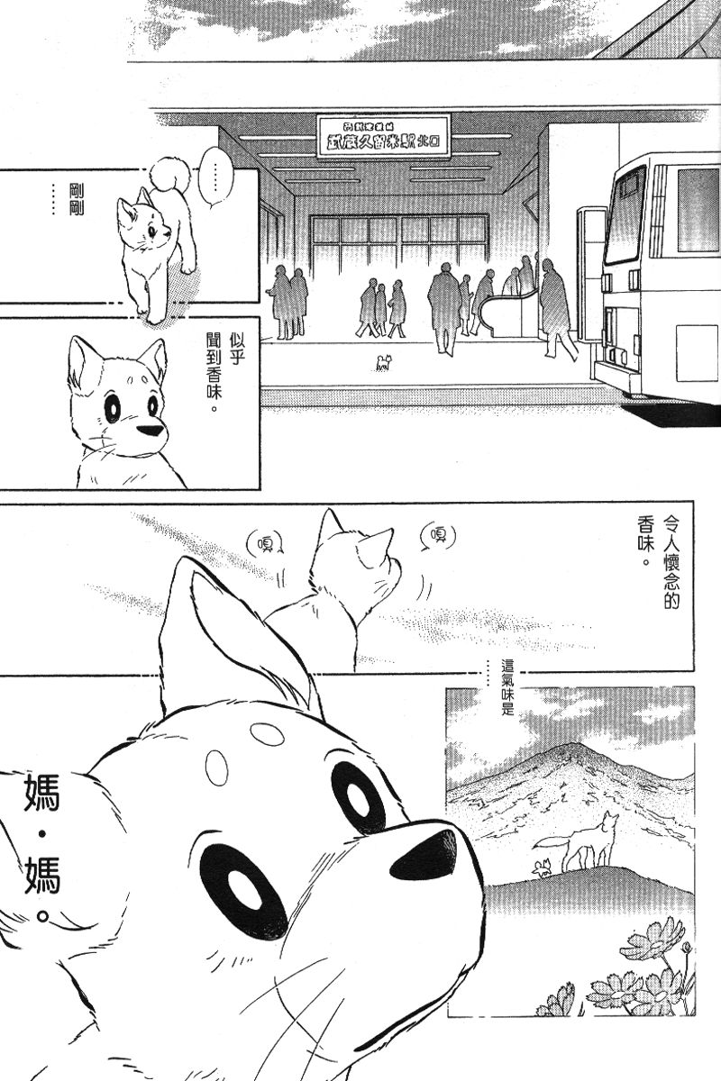 柴王韩漫全集-VOL06无删减无遮挡章节图片 
