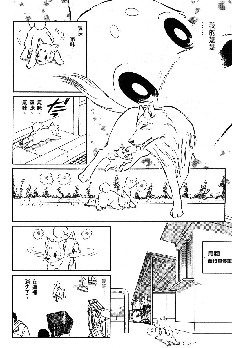 柴王韩漫全集-VOL06无删减无遮挡章节图片 
