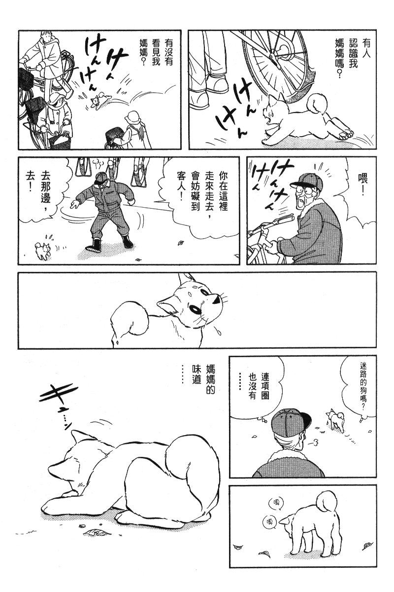 柴王韩漫全集-VOL06无删减无遮挡章节图片 