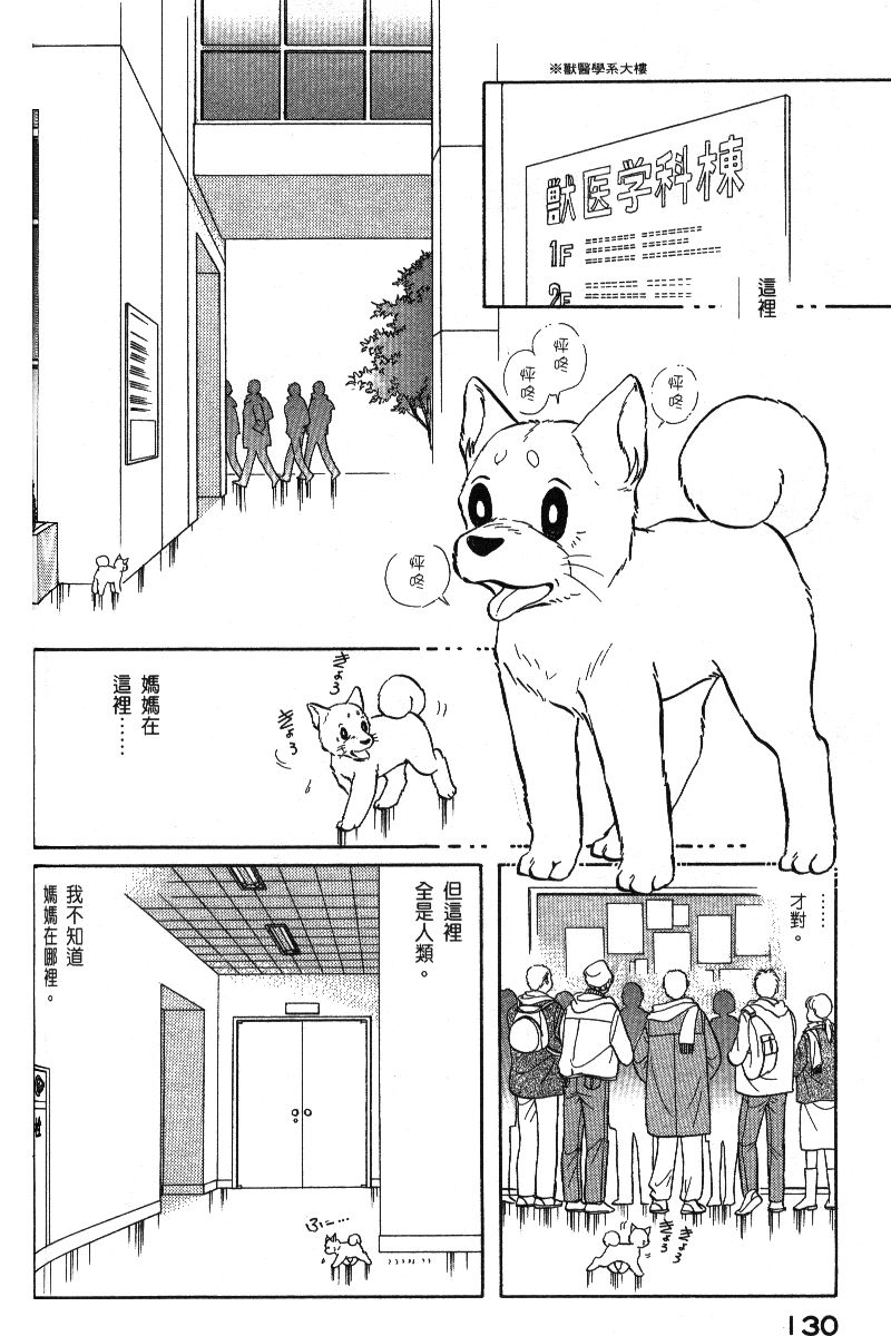 柴王韩漫全集-VOL06无删减无遮挡章节图片 
