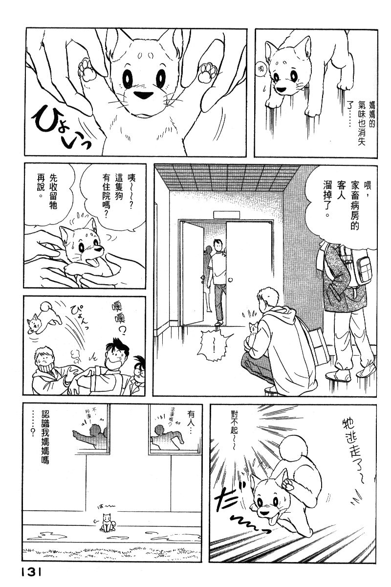 柴王韩漫全集-VOL06无删减无遮挡章节图片 