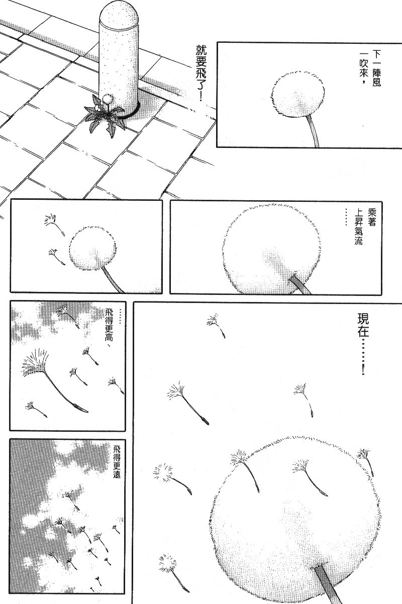 柴王韩漫全集-VOL06无删减无遮挡章节图片 