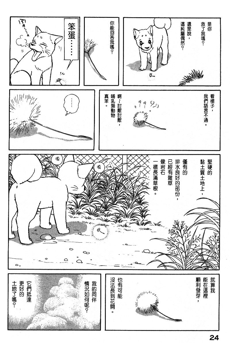 柴王韩漫全集-VOL06无删减无遮挡章节图片 