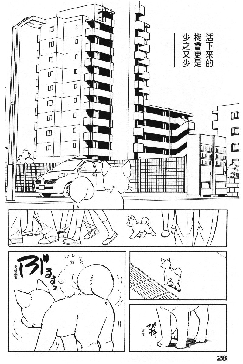 柴王韩漫全集-VOL06无删减无遮挡章节图片 