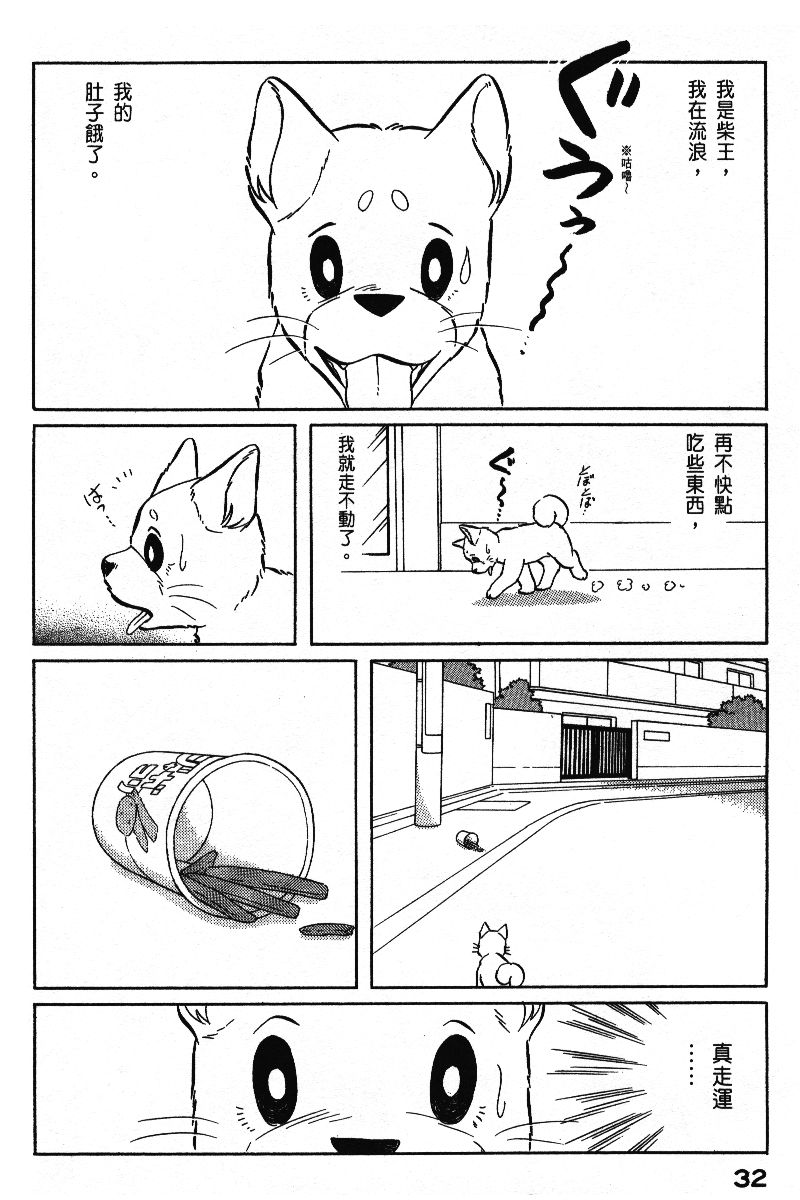 柴王韩漫全集-VOL06无删减无遮挡章节图片 