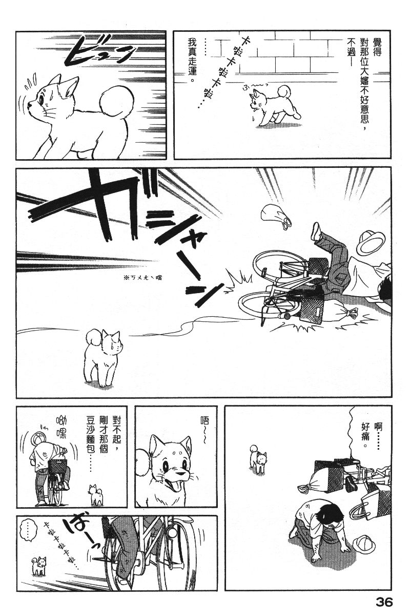 柴王韩漫全集-VOL06无删减无遮挡章节图片 