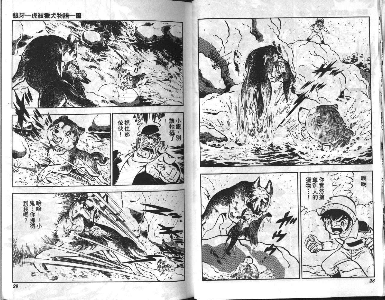 银牙虎纹猎犬物语韩漫全集-VOL02无删减无遮挡章节图片 