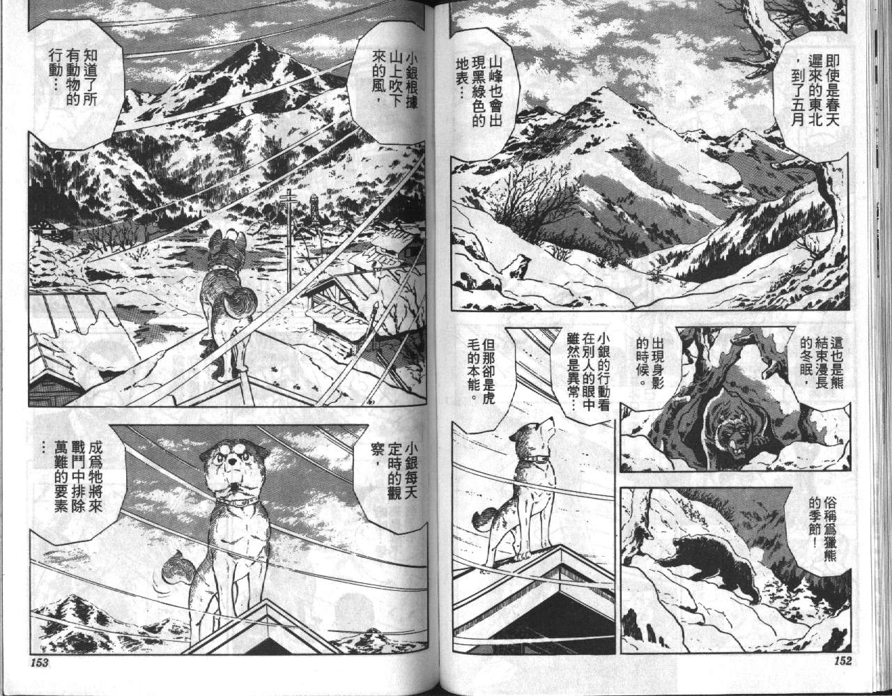 银牙虎纹猎犬物语韩漫全集-VOL02无删减无遮挡章节图片 