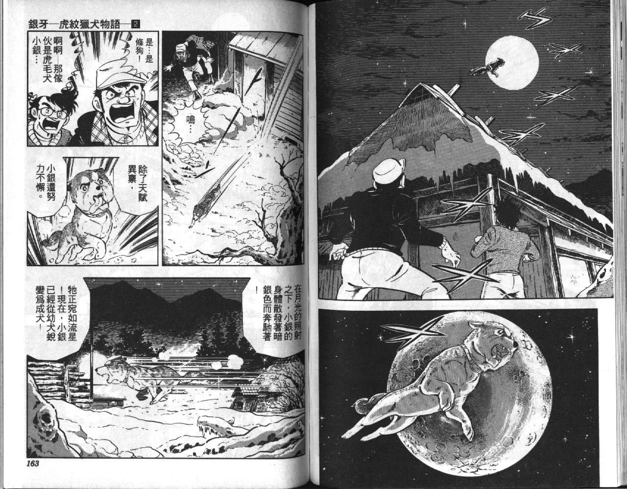 银牙虎纹猎犬物语韩漫全集-VOL02无删减无遮挡章节图片 